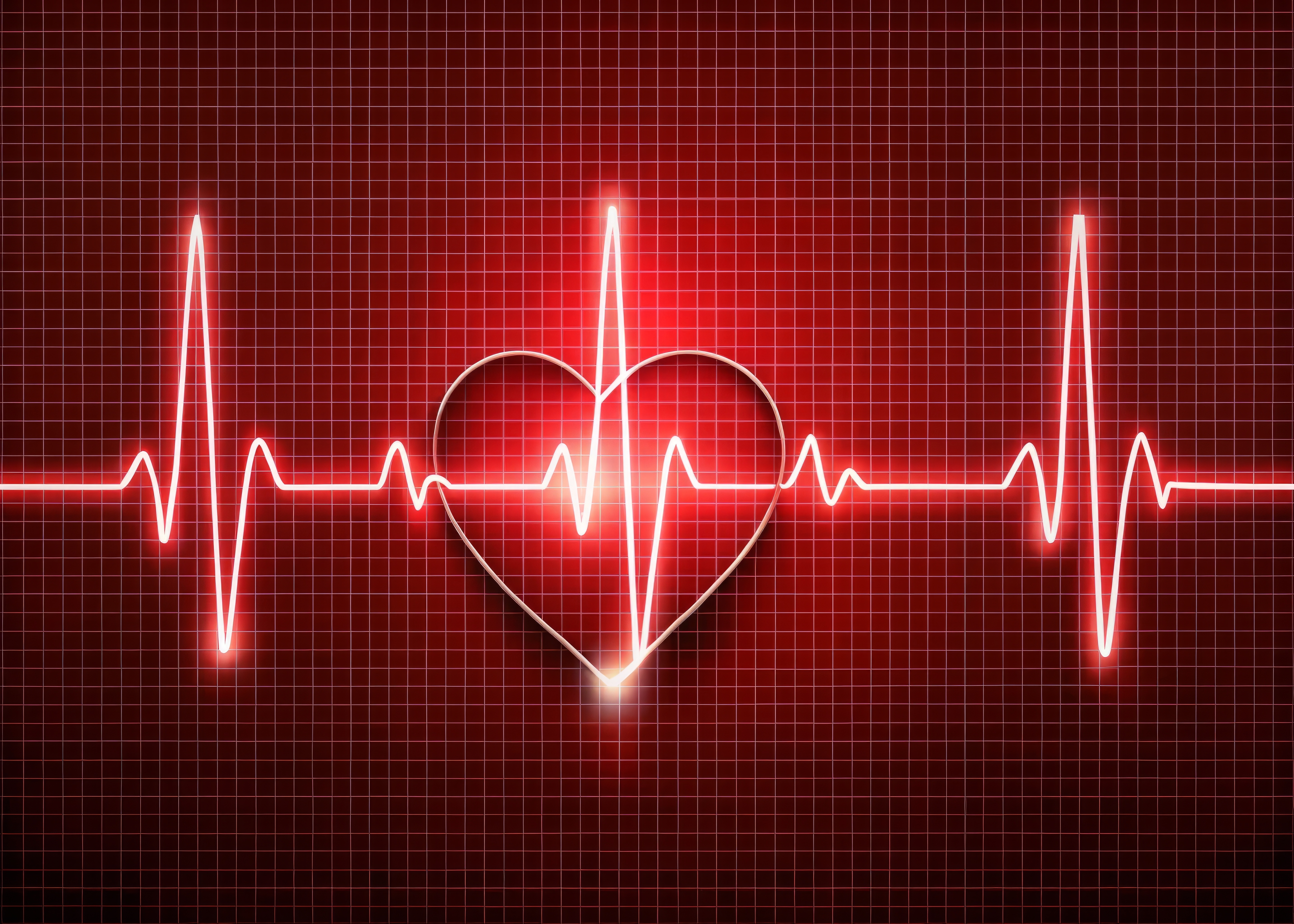 Q10 – a substância do Prémio Nobel